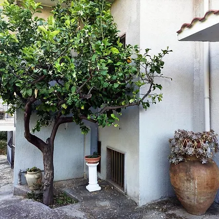 Il Grillo Bed & Breakfast Santa Maria Del Cedro