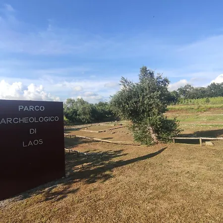 Il Grillo Bed & Breakfast Santa Maria Del Cedro