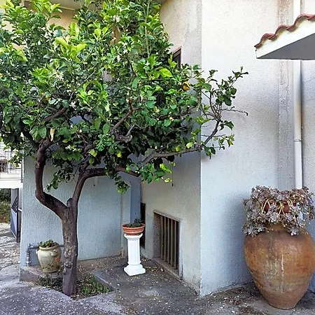 Il Grillo Santa Maria Del Cedro