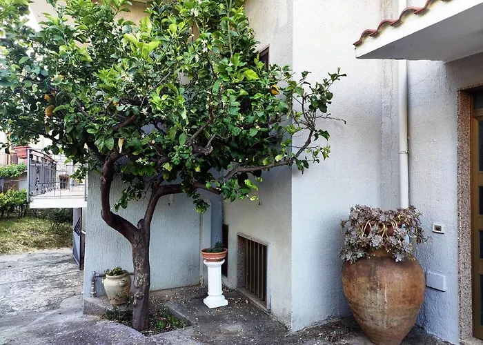 Il Grillo Frühstückspension Santa Maria Del Cedro