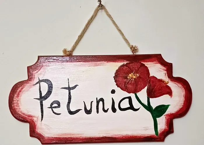 Il Grillo Santa Maria Del Cedro